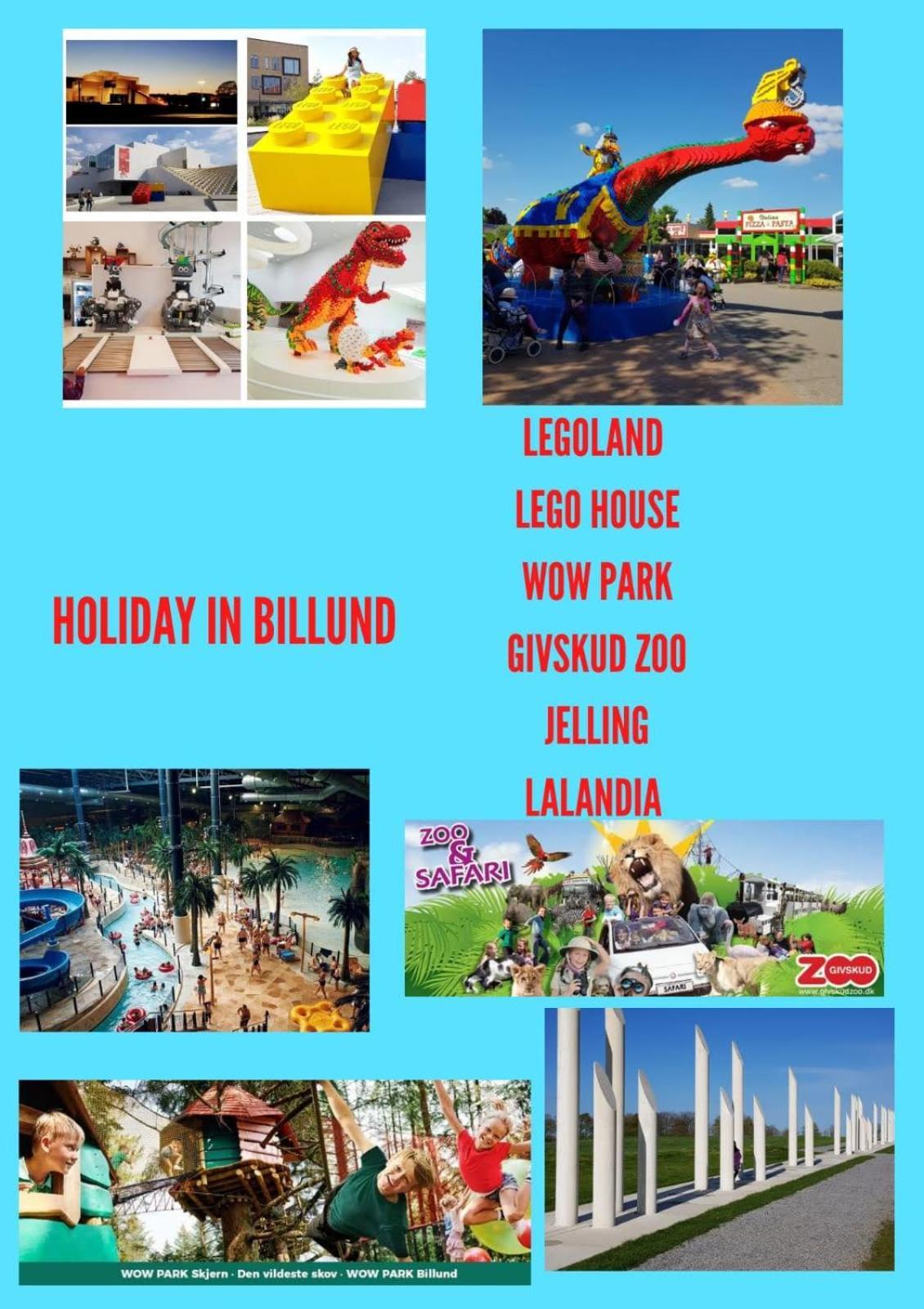 5 Minute Walk To Lego House - 50M2 Apartment With Garden / A Unit Billund Exteriör bild